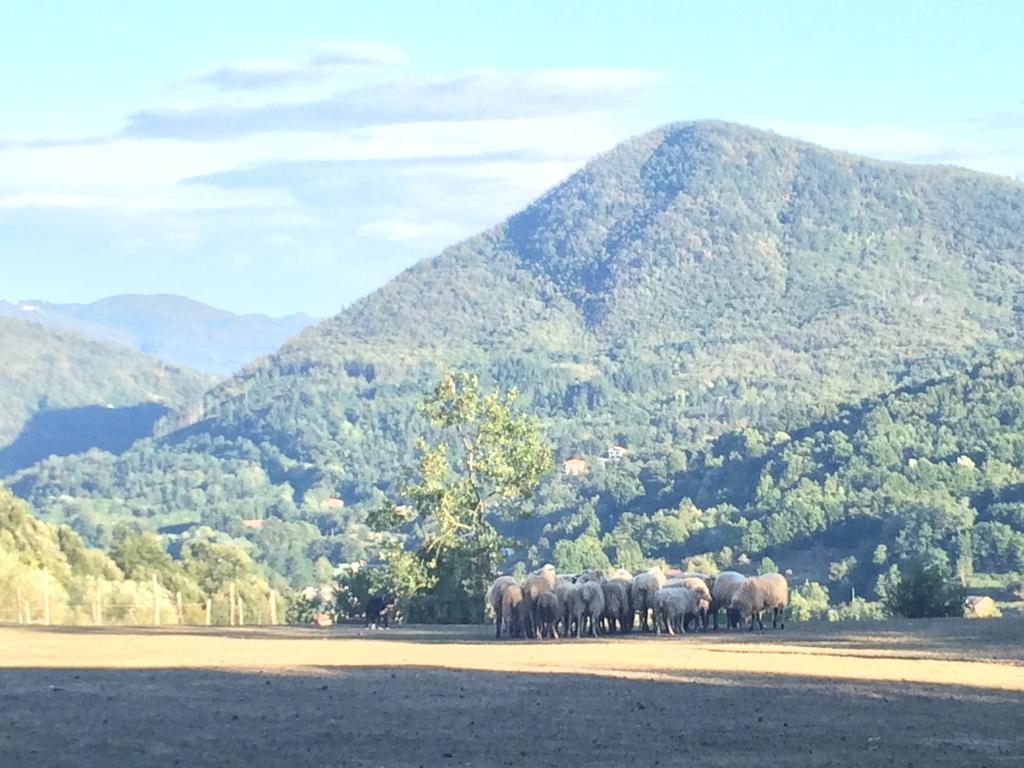 Agriturismo Dei Legi Villa San Pietro Vara Exteriör bild