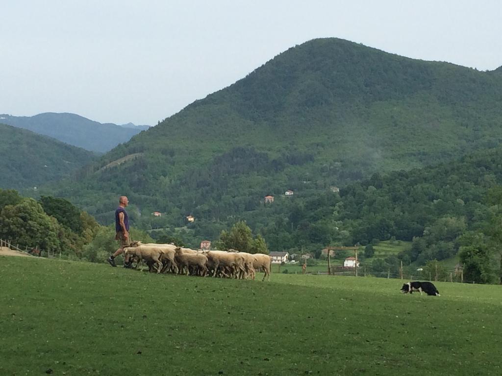 Agriturismo Dei Legi Villa San Pietro Vara Exteriör bild