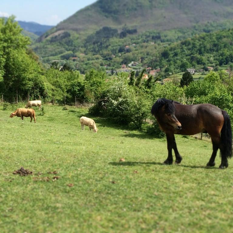 Agriturismo Dei Legi Villa San Pietro Vara Exteriör bild