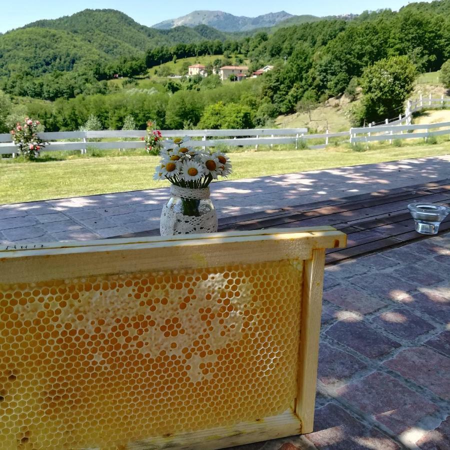 Agriturismo Dei Legi San Pietro Vara Exteriör bild