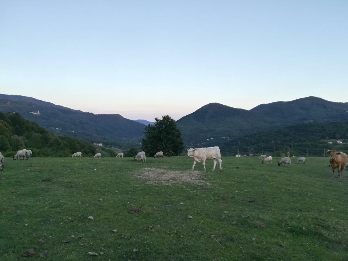 Agriturismo Dei Legi Villa San Pietro Vara Exteriör bild