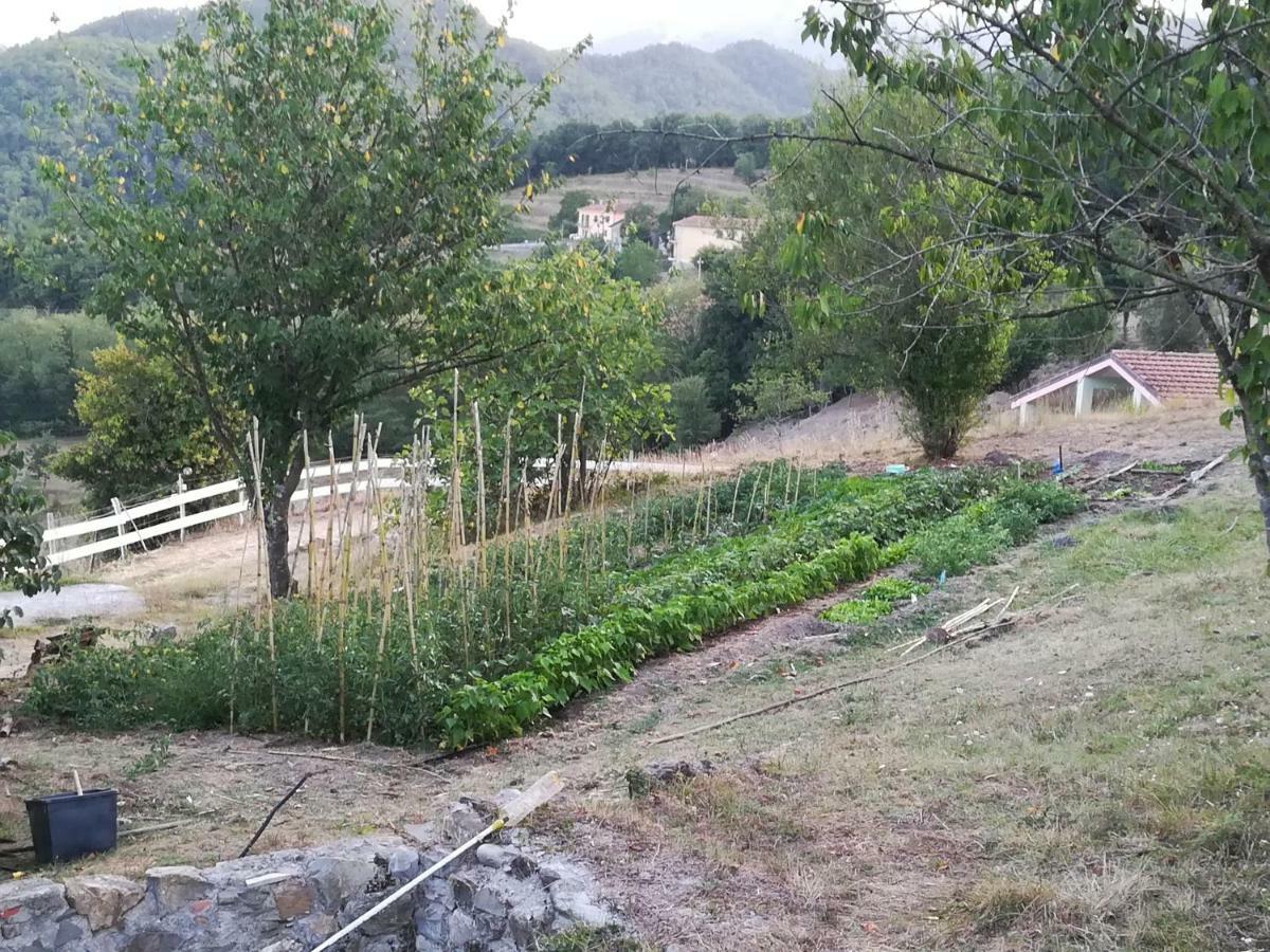 Agriturismo Dei Legi San Pietro Vara Exteriör bild