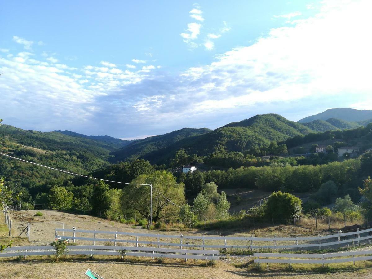 Agriturismo Dei Legi Villa San Pietro Vara Exteriör bild