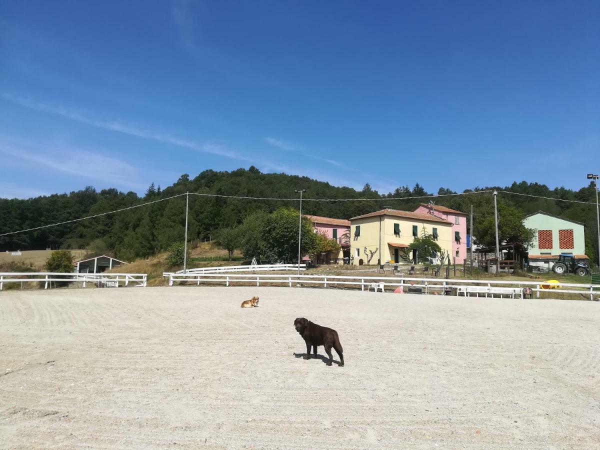 Agriturismo Dei Legi Villa San Pietro Vara Exteriör bild